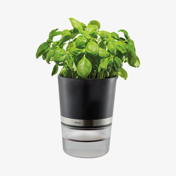 BOTANICO Krydderurtepotte