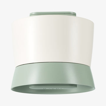 Blomkåls- og broccolisnitter grøn